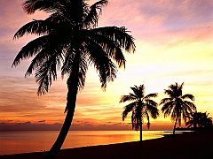 Lazy Days, Key West, Florida